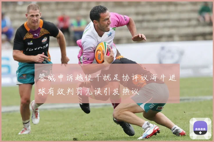 蓉城申诉越位干扰足协评议海牛进球有效判罚无误引发热议
